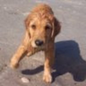 Meet your Posher, Jan